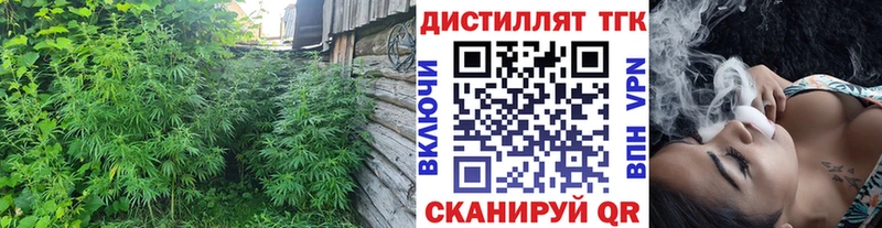 ТГК концентрат  Кяхта 