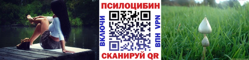 Галлюциногенные грибы Magic Shrooms  гидра tor  Кяхта 